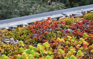 the cost of Restronguet Passage green roof installation