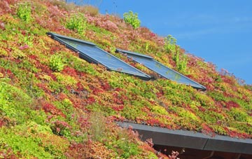 Restronguet Passage living roof systems